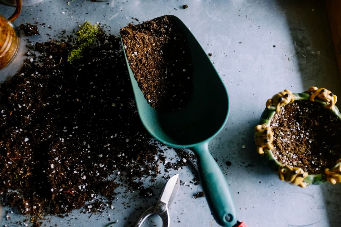 Garden dinners that feel effortless